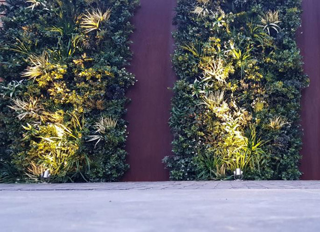 uplit artificial green wall