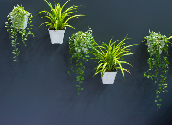 wall decor featuring artificial plants in pots