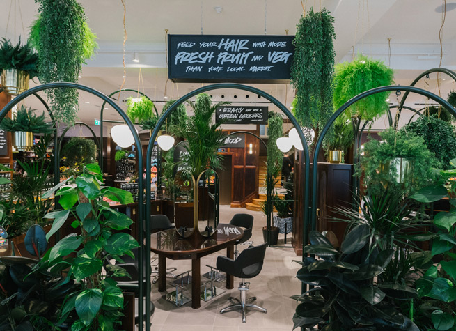 shop decor featuring artificial plants