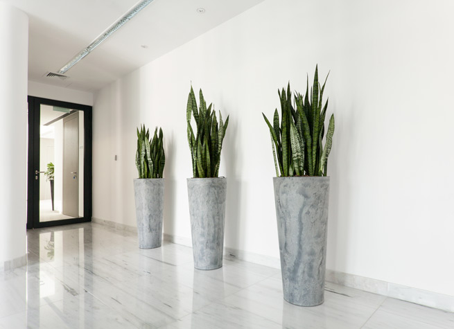indoor planter in contemporary style